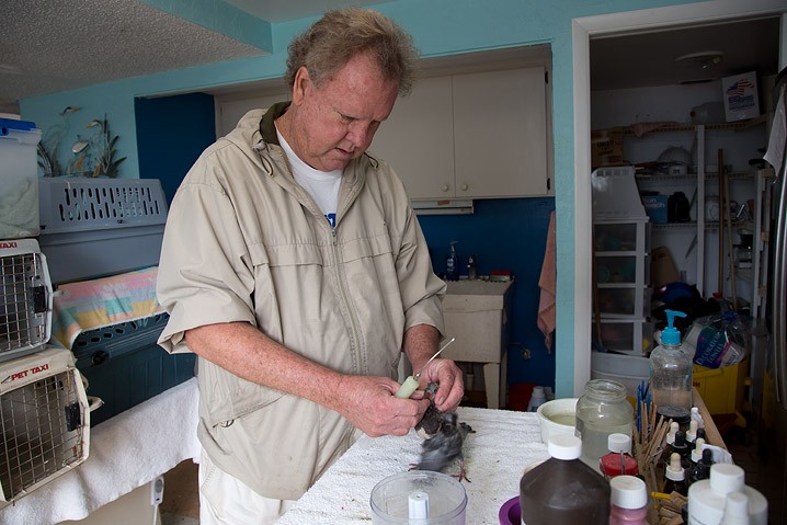 Reportage Seabird Sanctury